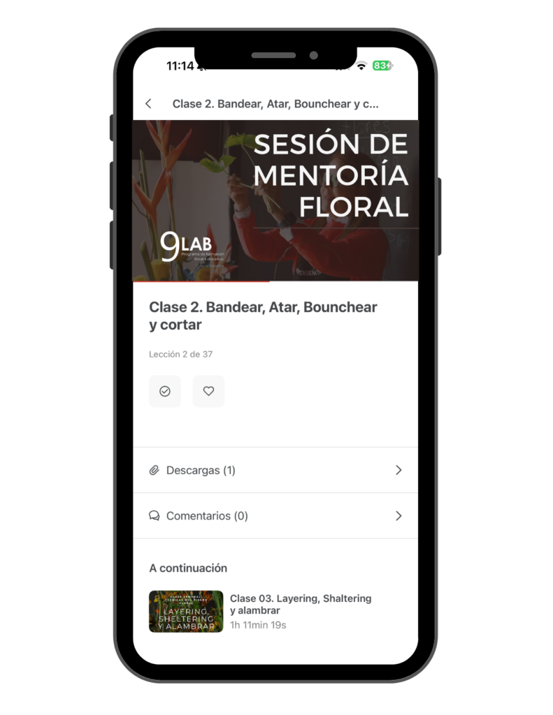 Copia de 9LAB (Postal (EE. UU., vertical)) (4)