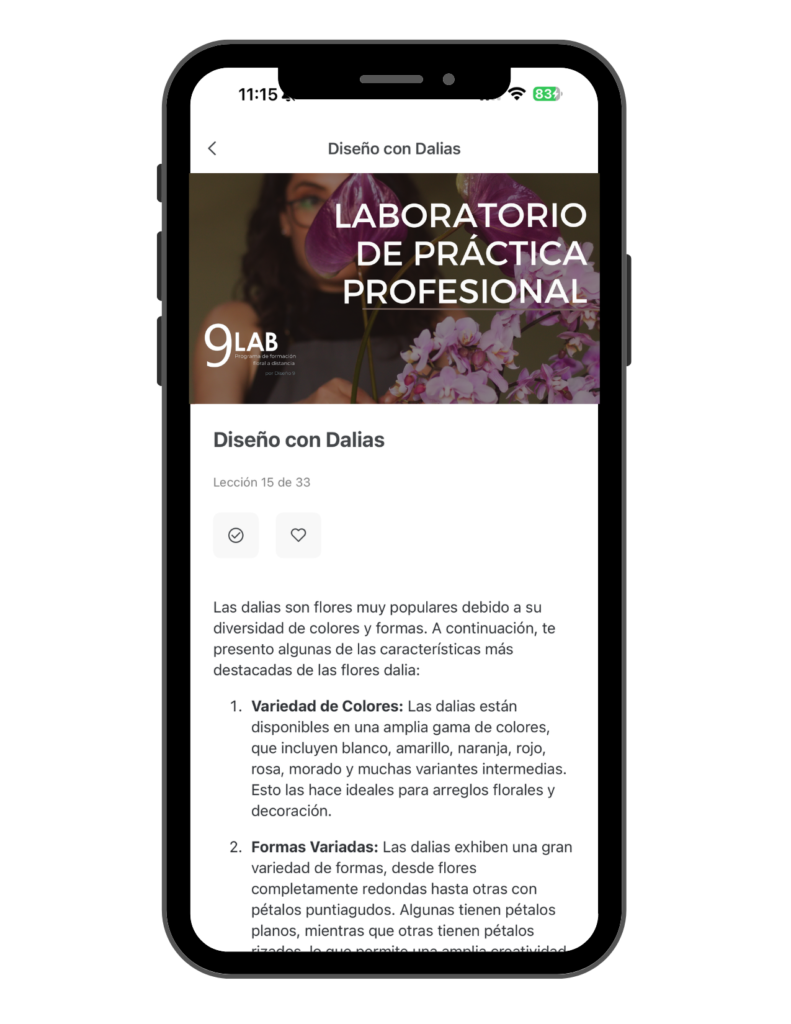 Copia de 9LAB (Postal (EE. UU., vertical)) (5)